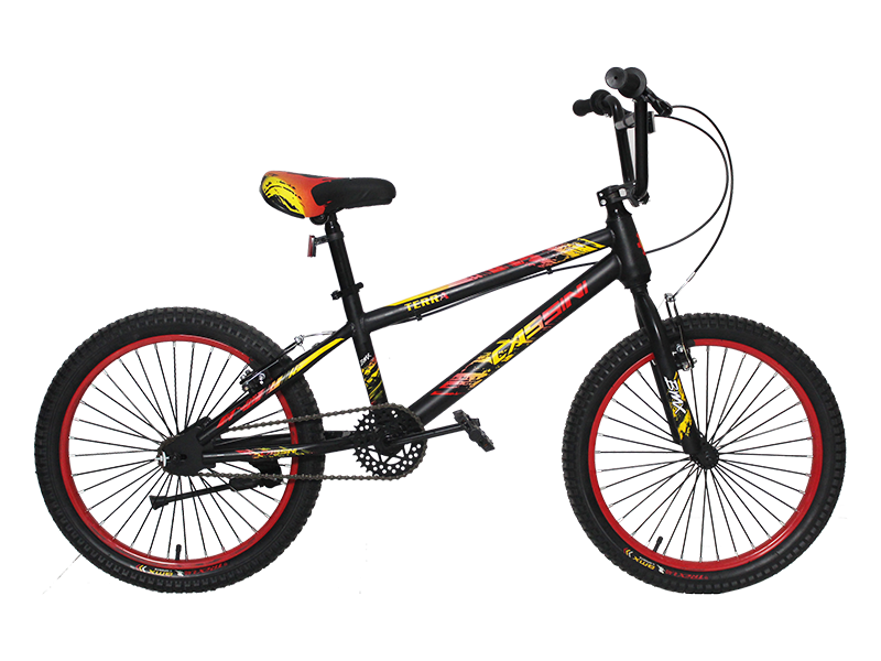 Sepeda Cassini BMX TERRA 2.4